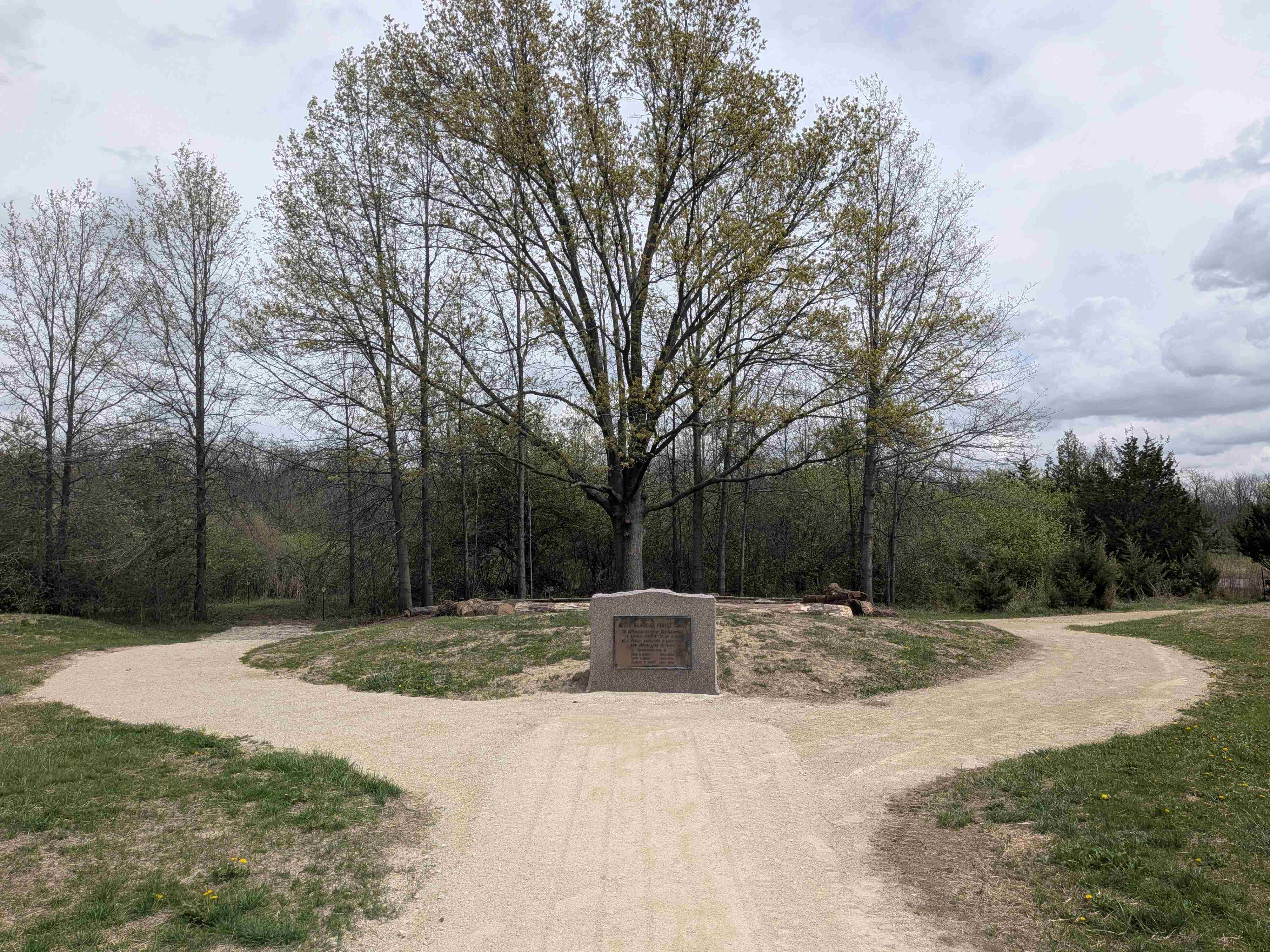 McVey Memorial Forest