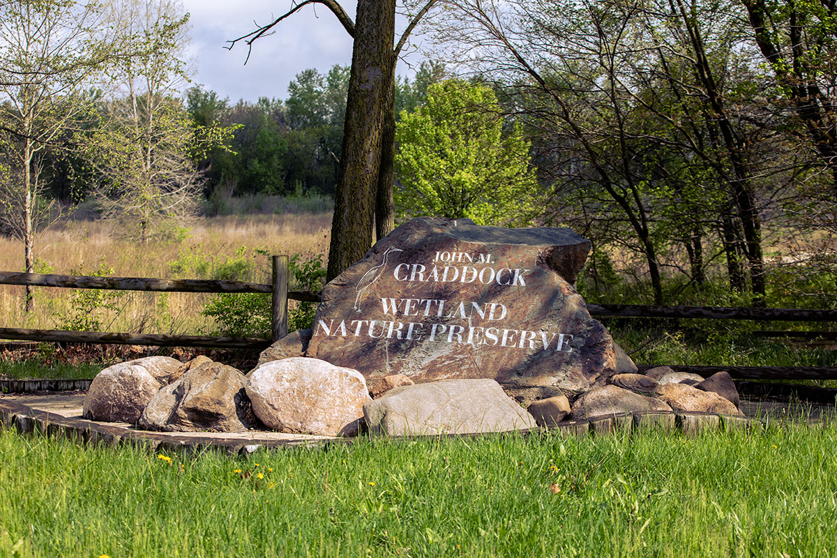 Craddock Wetlands
