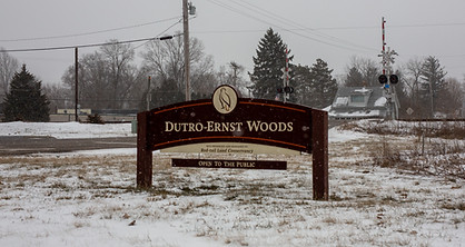 2015-10 Dutro Woods- Winter 2022 (5).jpg