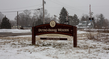 2015-10 Dutro Woods- Winter 2022 (5).jpg