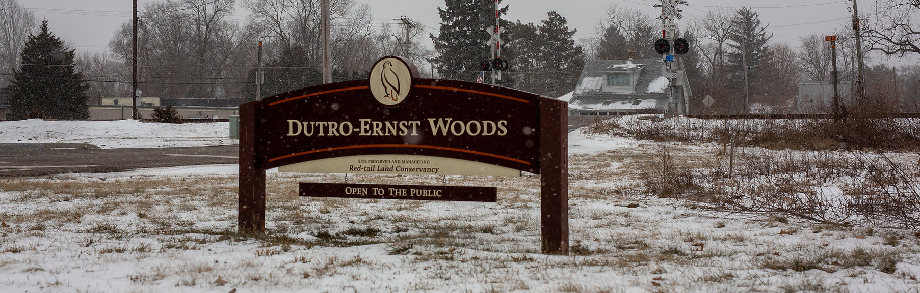 2015-10 Dutro Woods- Winter 2022 (5).jpg