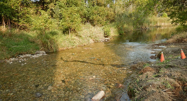 DSCN1475.JPG