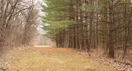 2022-04 McVey Master Plan- Toria Photos (42).jpg